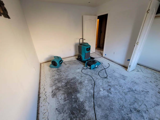 Best Water damage contractors near me  in Panama, OK