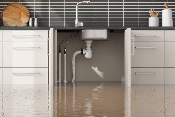Best Residential water damage restoration  in Panama, OK